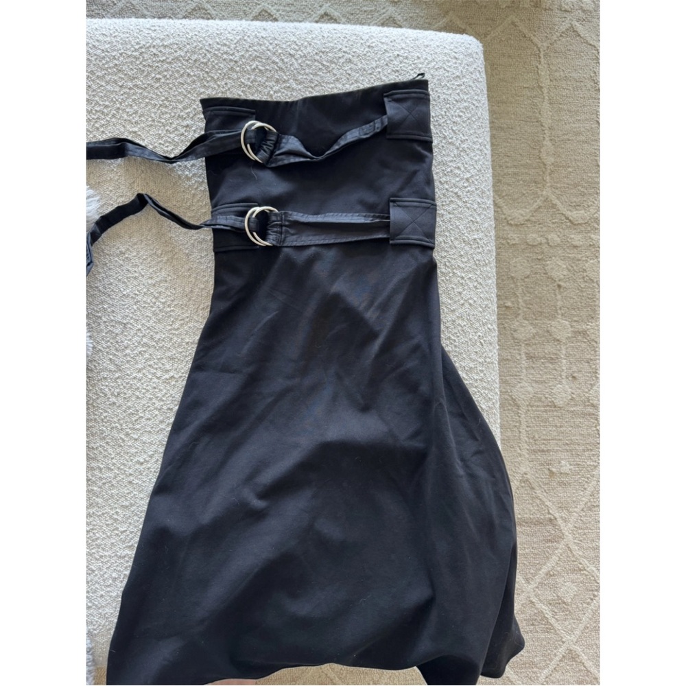 Celine 2014 Double Belted Buckle Dress
